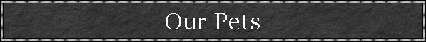 Our Pets